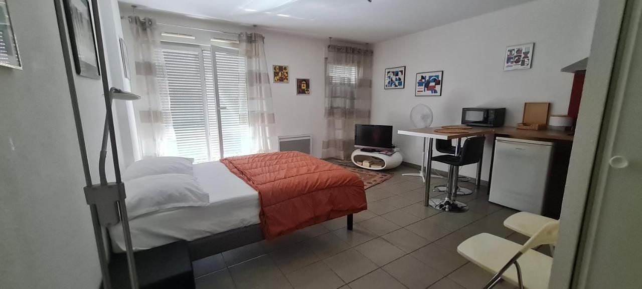 Beau Studio Tout Confort Au Calme Avec Parking . Lägenhet Villeurbanne Exteriör bild
