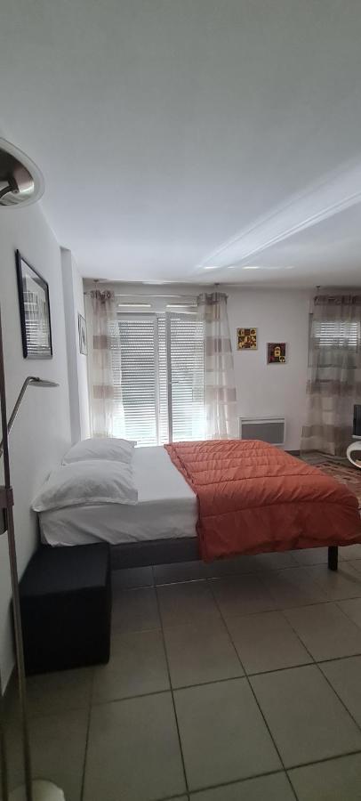 Beau Studio Tout Confort Au Calme Avec Parking . Lägenhet Villeurbanne Exteriör bild